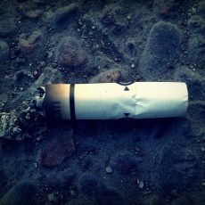 A talajba kerülő cigarettacsikkek gátolhatják a növények fejlődését