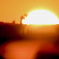 NOAA: Az eddig legmelegebb június volt az idei