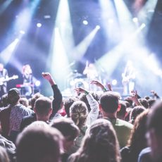 Három nap alatt tucatnyi koncert az Alba Regia Feszten