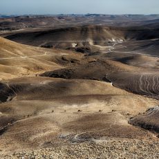 A Szentföld korai iszlám korszakából származó ritka mecsetet fedeztek fel a Negev-sivatagban