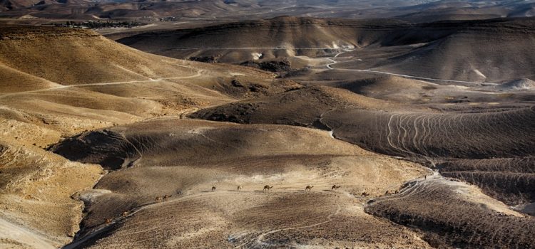 A Szentföld korai iszlám korszakából származó ritka mecsetet fedeztek fel a Negev-sivatagban