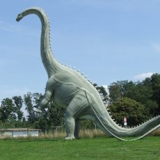 Új dinoszauruszfajt azonosítottak paleontológusok