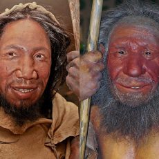 Nyírfakátrányból készített ragasztót a neandervölgyi ember