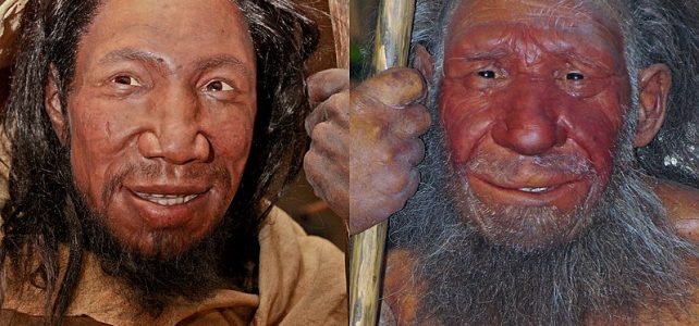 Nyírfakátrányból készített ragasztót a neandervölgyi ember