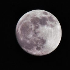 Csaknem 50 év után nyitottak fel a NASA kutatói egy Holdról származó mintát