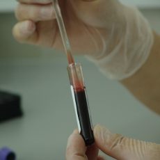 A kiegészítő gyógynövényes terápiák többet árthatnak a rákbetegeknek, mint használnak A kiegészítő gyógynövényes terápiák többet árthatnak a rákbetegeknek, mint használnak