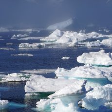 A vártnál gyorsabb ütemben olvad a jég Grönlandon A vártnál gyorsabb ütemben olvad a jég Grönlandon