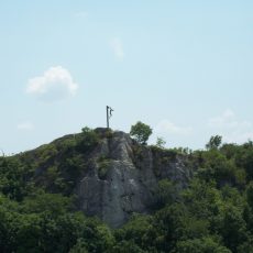 Három új ősmaradványfajt tártak fel a Mecsekben Három új ősmaradványfajt tártak fel a Mecsekben