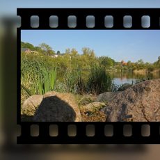 Európai Filmdíjak – A Kedvenc a legjobb európai film 2019-ben